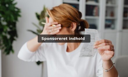 Energiomkostninger ved store husholdningskøb